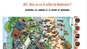 Jeu - Retrouve les jumeaux 