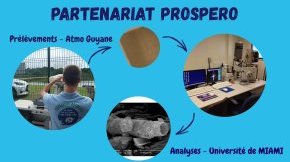 Partenariat et Dispositif PROSPERO  