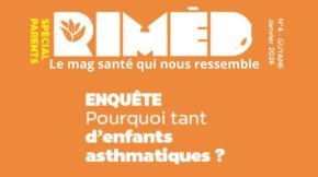 ENQUÊTE&nbsp;: Pourquoi tant d’enfants asthmatiques&nbsp;?
