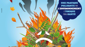 Brûler ses déchets verts sur son terrain : INTERDIT !