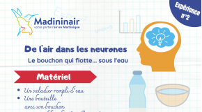 Fiche expérience n°2 : Le bouchon qui flotte...sous l’eau !