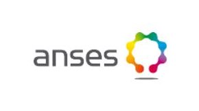 Les recommandations de l’ANSES sur la qualité de l’air ambiant