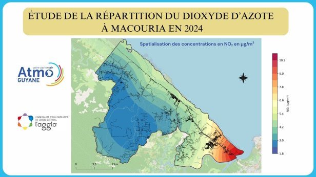 🌍 Étude de la répartition du dioxyde d’azote à Macouria