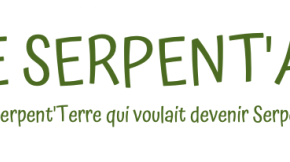 Fiche présentation animation : Le Serpent’Air