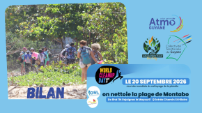 World CleanUp Day 2026&nbsp;: 732 kg de déchets retirés de la plage de Montabo