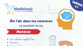 Fiche expérience n°1 : Le mouchoir au sec